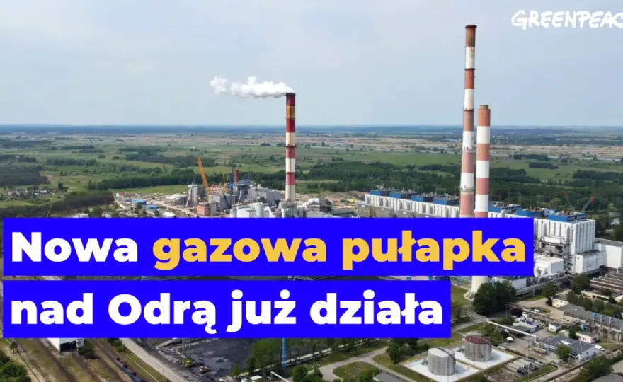 Elektrownia Dolna Odra: Gazowe serce Polski? Transformacja i przyszłość